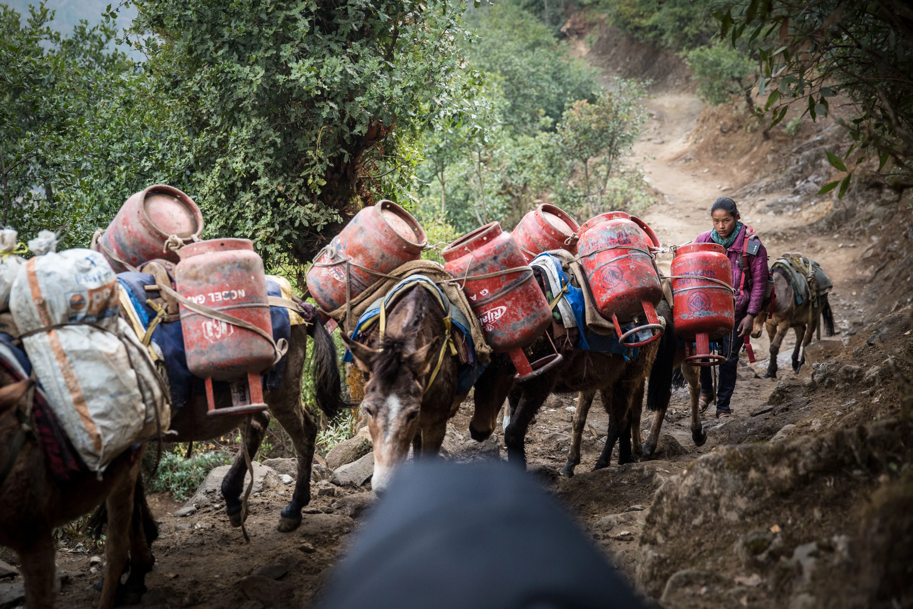 Everest Base Camp Trek