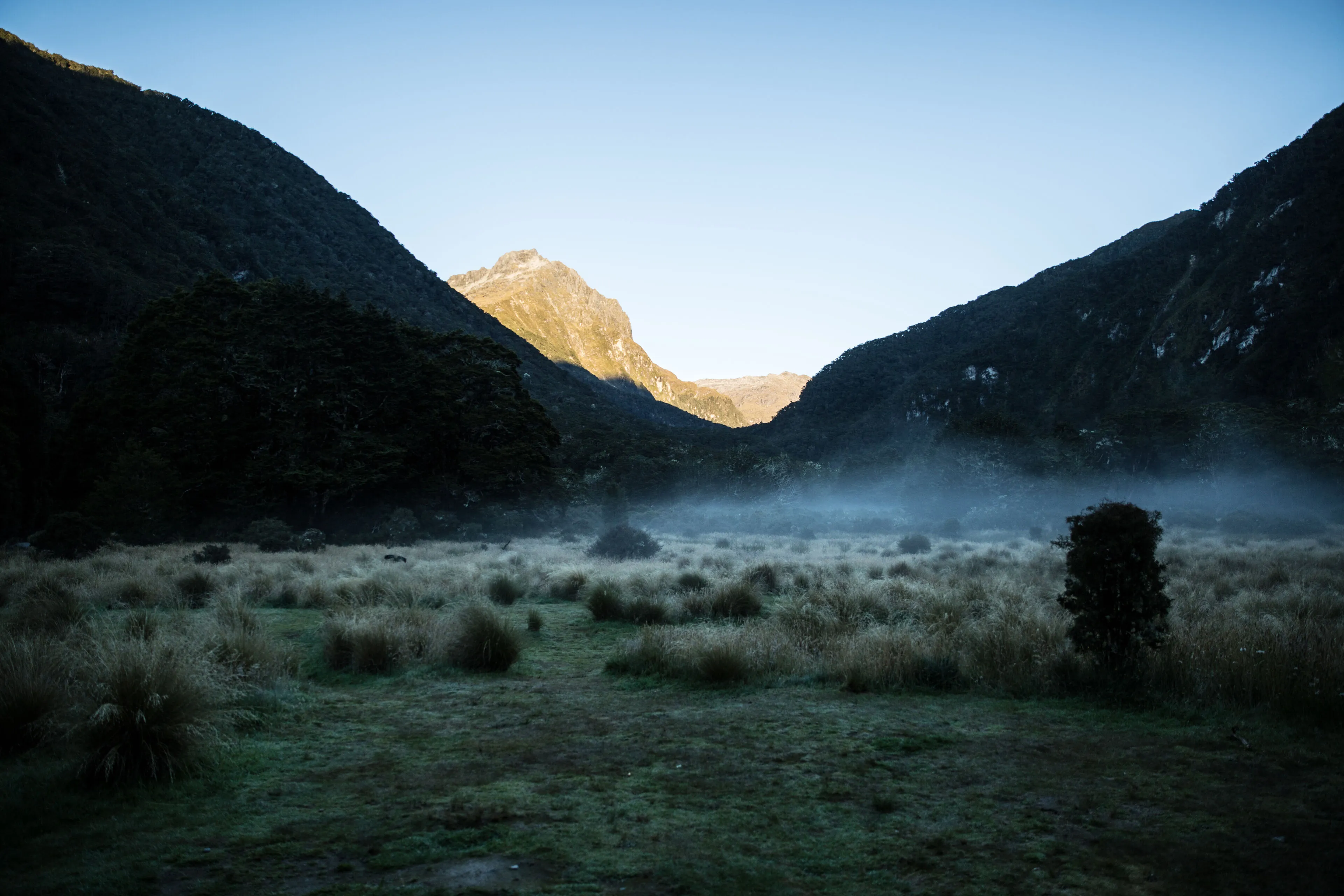 Kepler Track