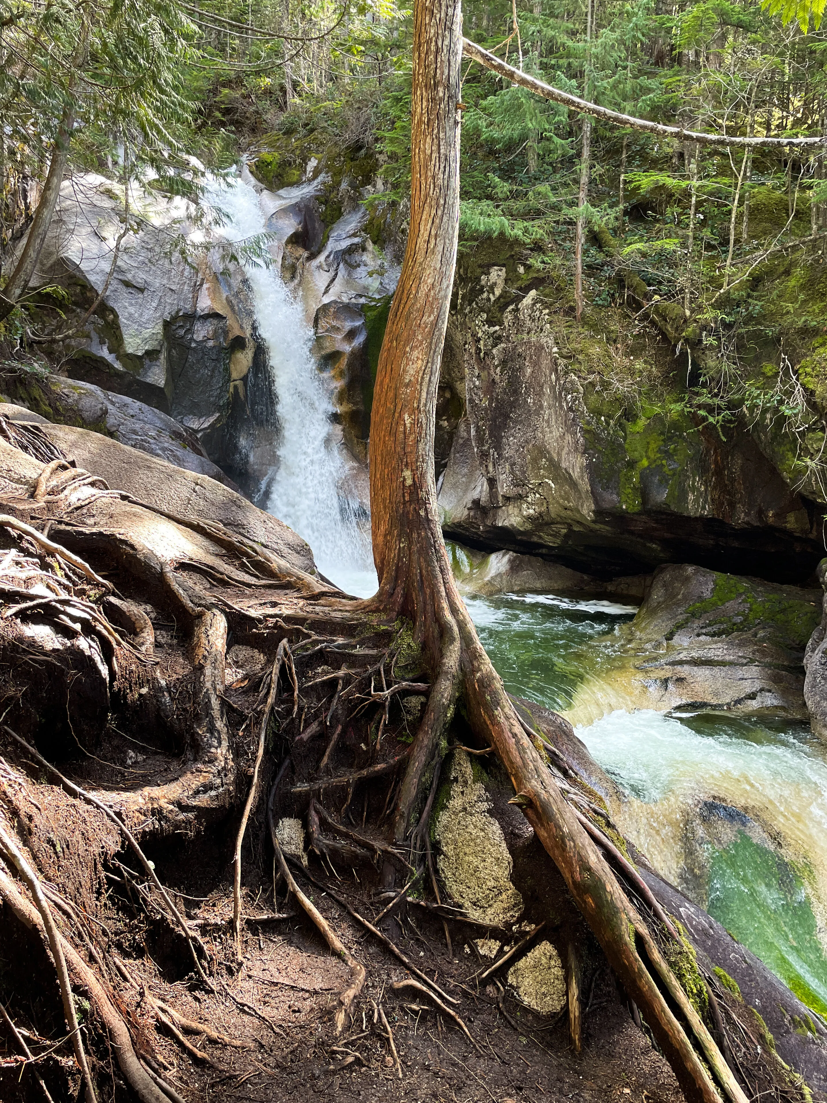 Upper Sea to Summit Trail