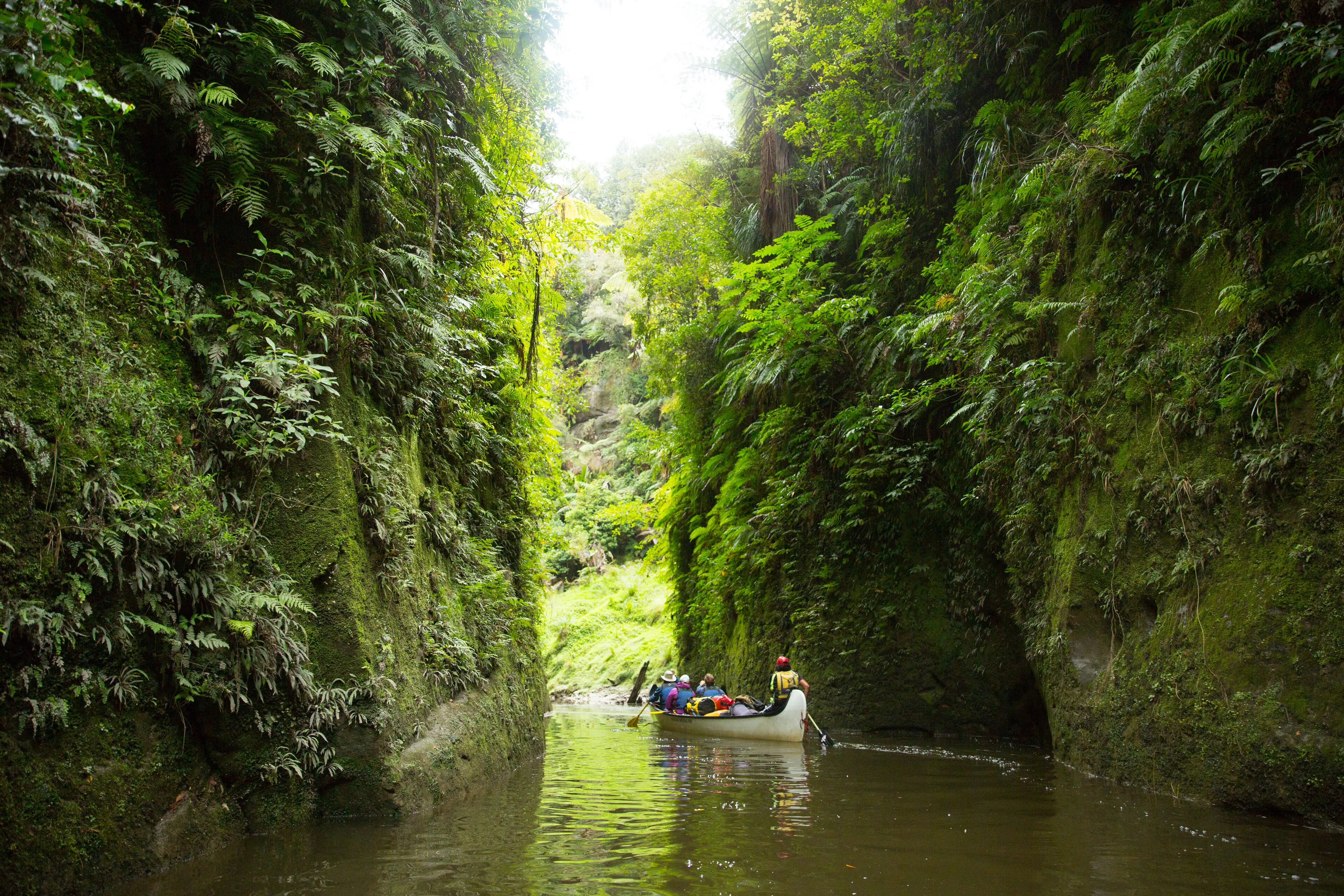 Whanganui Journey